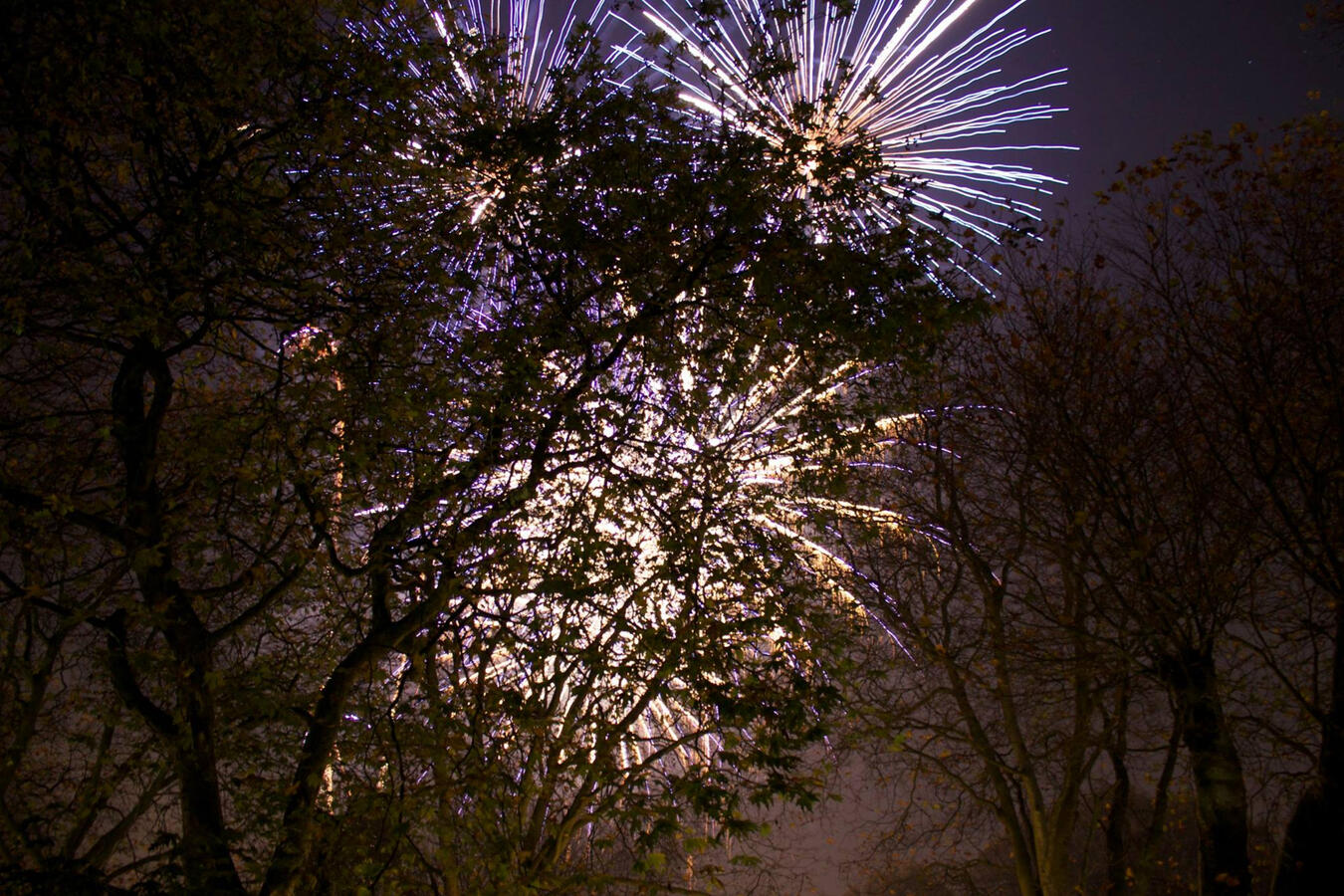 10/Fireworks 10/Fireworks
