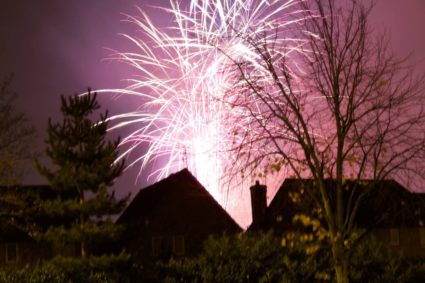 17/Fireworks 17/Fireworks