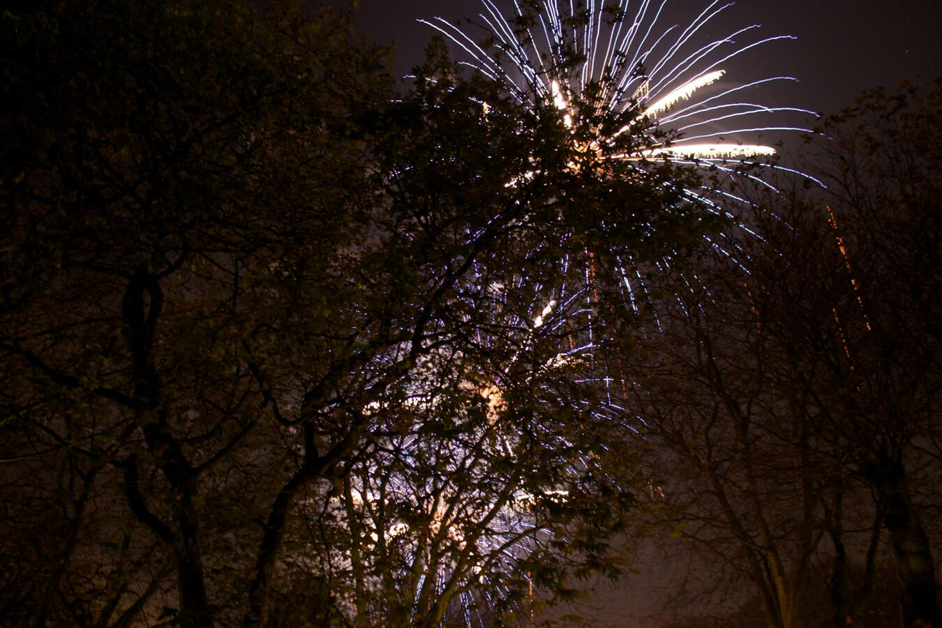 15/Fireworks 15/Fireworks