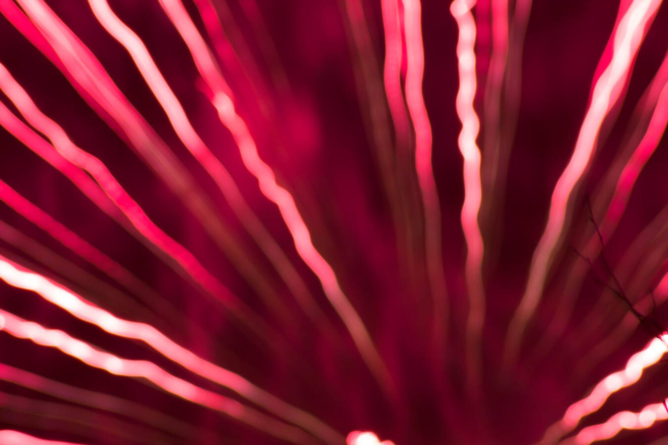19/Fireworks 19/Fireworks