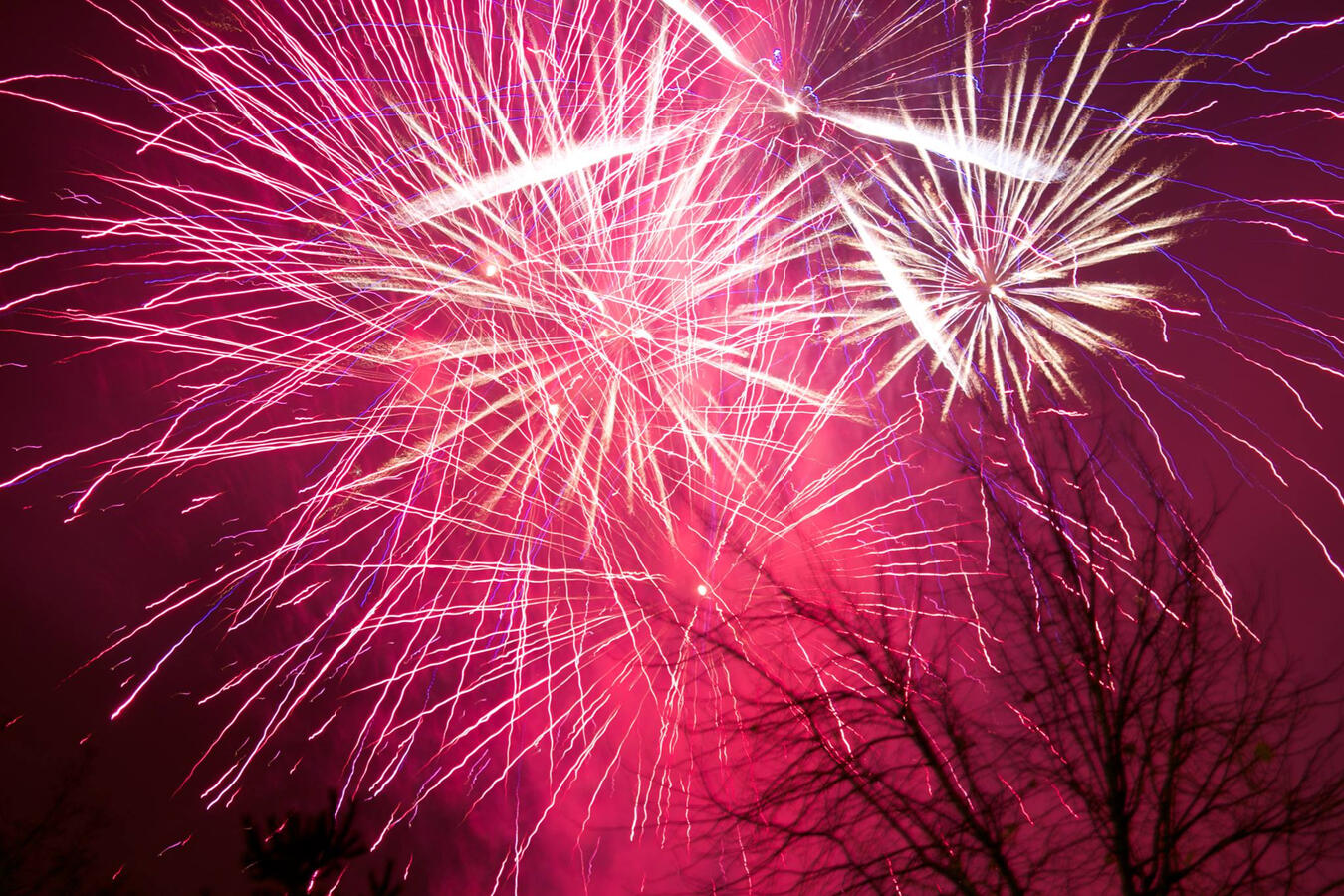 1/Fireworks 1/Fireworks