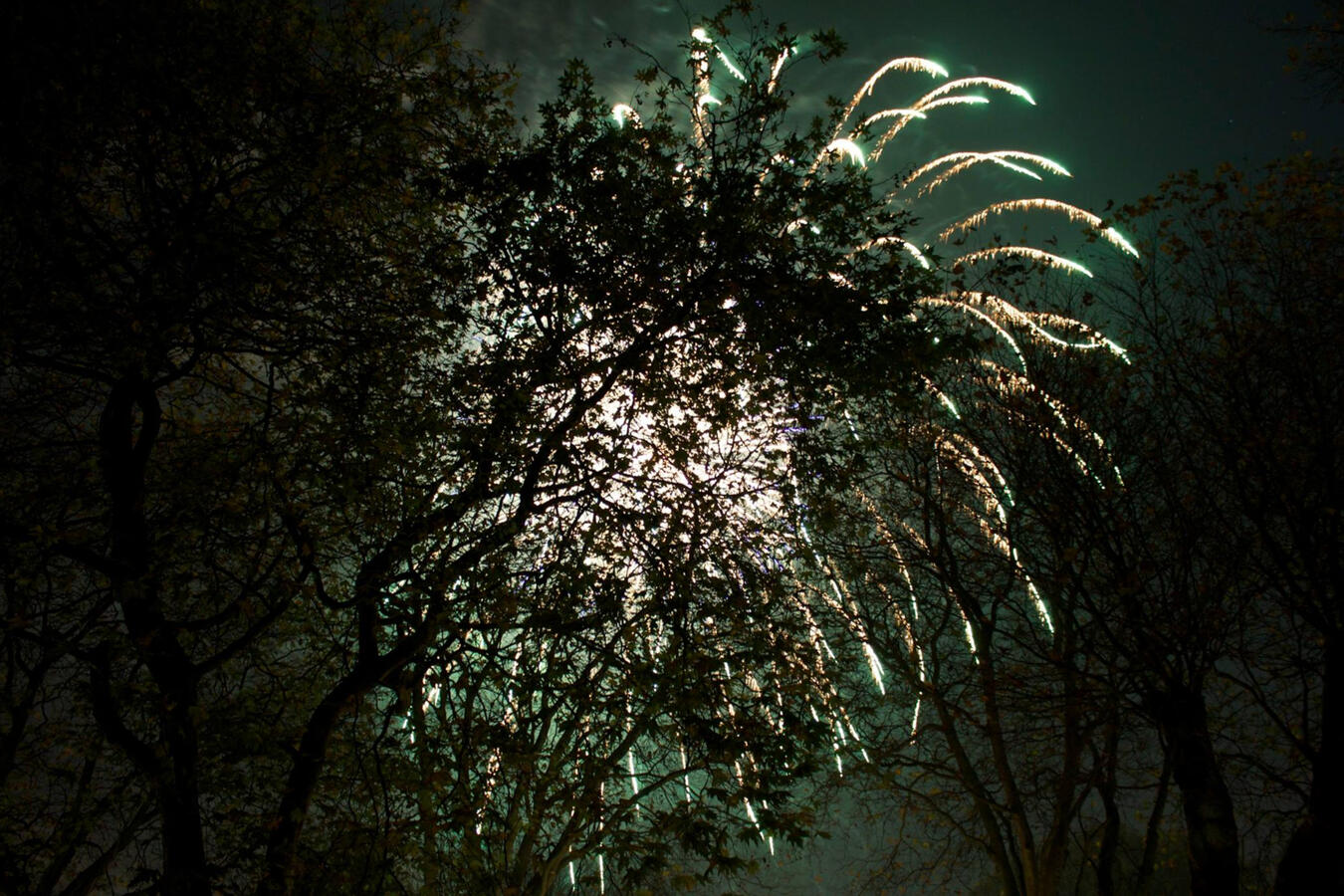 11/Fireworks 11/Fireworks